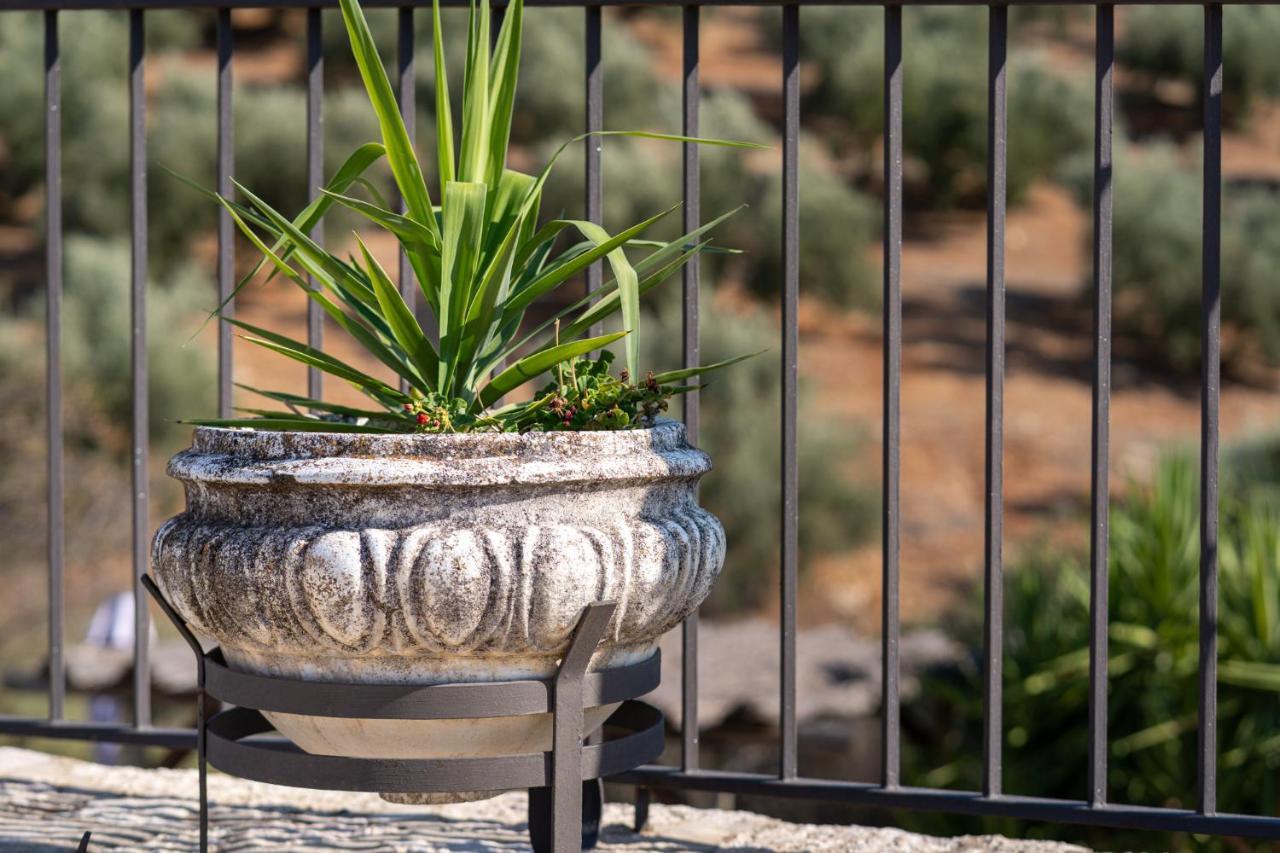 Hacienda La Buena Vida B&B En Appartementen Algarinejo Eksteriør bilde