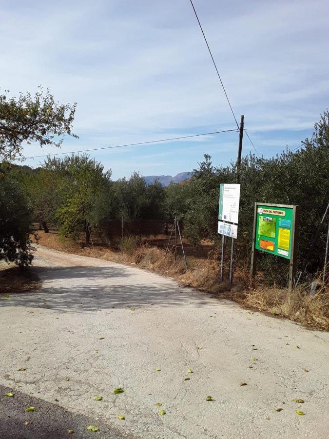 Hacienda La Buena Vida B&B En Appartementen Algarinejo Eksteriør bilde