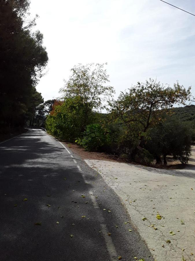 Hacienda La Buena Vida B&B En Appartementen Algarinejo Eksteriør bilde