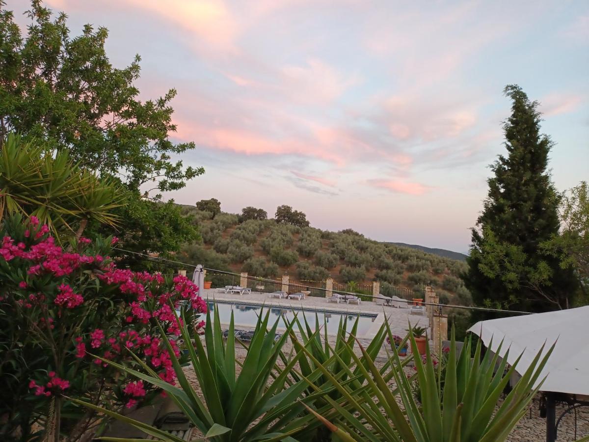 Hacienda La Buena Vida B&B En Appartementen Algarinejo Eksteriør bilde
